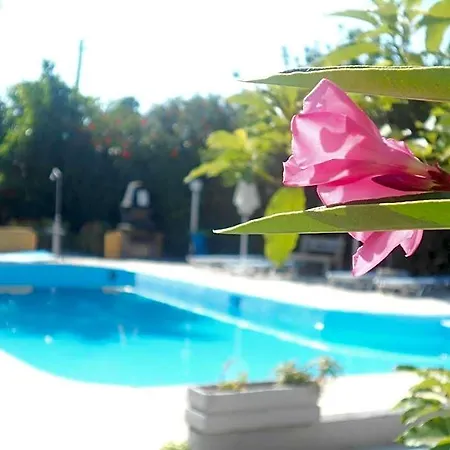 Sofia Hotel 4*